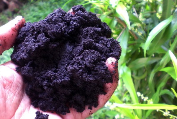 Mahasiswa Kesling FKM UNEJ Buktikan Limbah Kopi untuk Kurangi Pencemaran Air