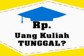 Penyesuaian UKT Semester Genap 2019