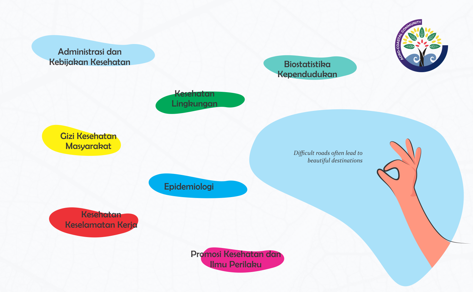 Alur Plotting Peminatan Prodi S1 Ilmu Kesehatan Masyarakat