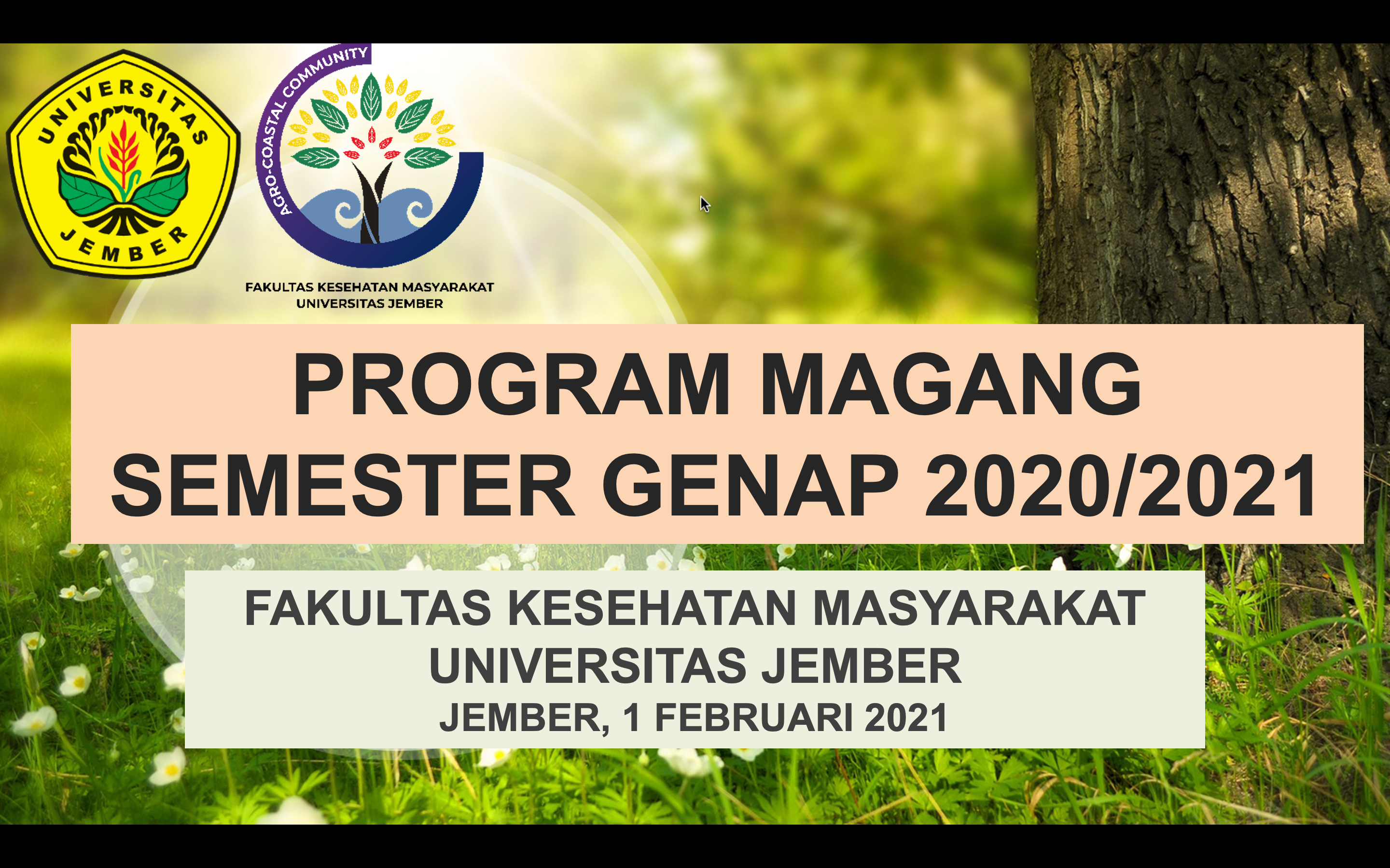Magang Mahasiswa FKM Unej Semester Genap 2020/2021