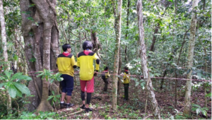 Kegiatan analisis vegetasi