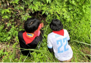 koleksi spesimen yang diawetkan terutama serangga